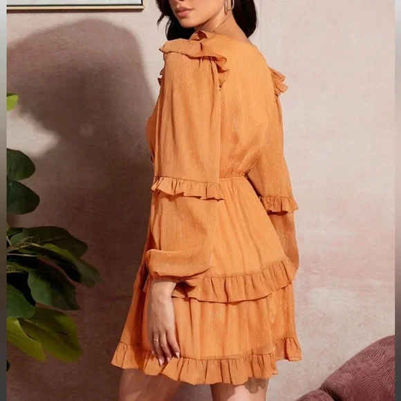 Shimmery Orange Dress - Picture 5 of 5